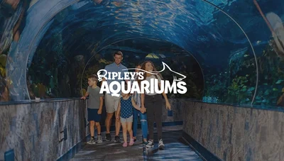 Ripley's Aquarium of the Smokies