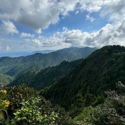 Best of the Smokies Custom Private Tour